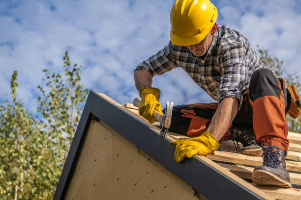 Fast & Reliable Emergency Roof Repairs in Newton, AL